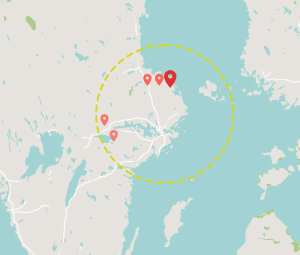 Våra producenter av ägg